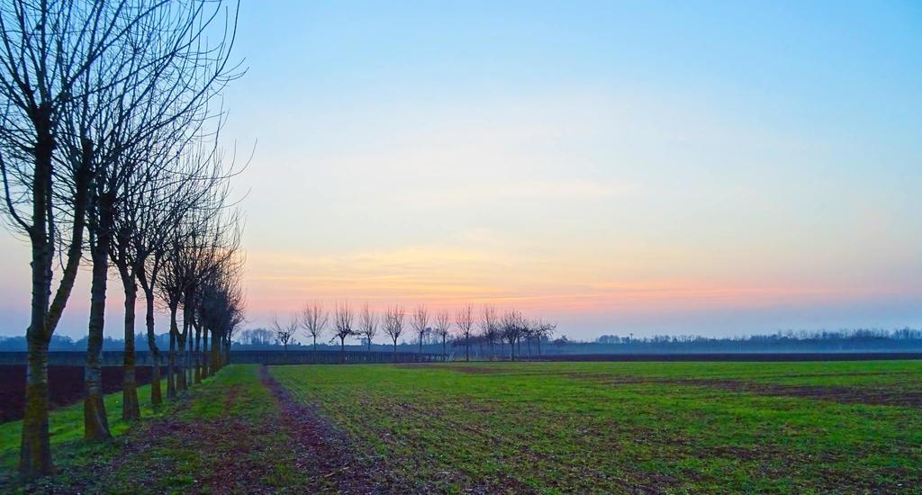 Agriturismo Paradiso Sarego エクステリア 写真