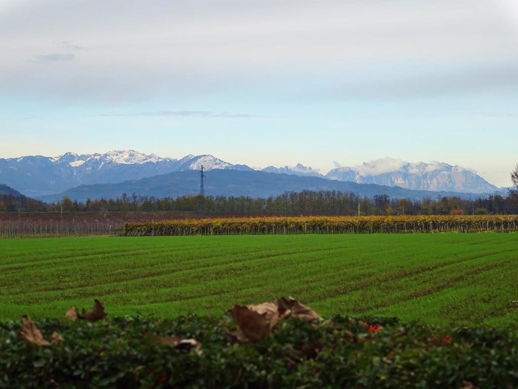 Agriturismo Paradiso Sarego エクステリア 写真